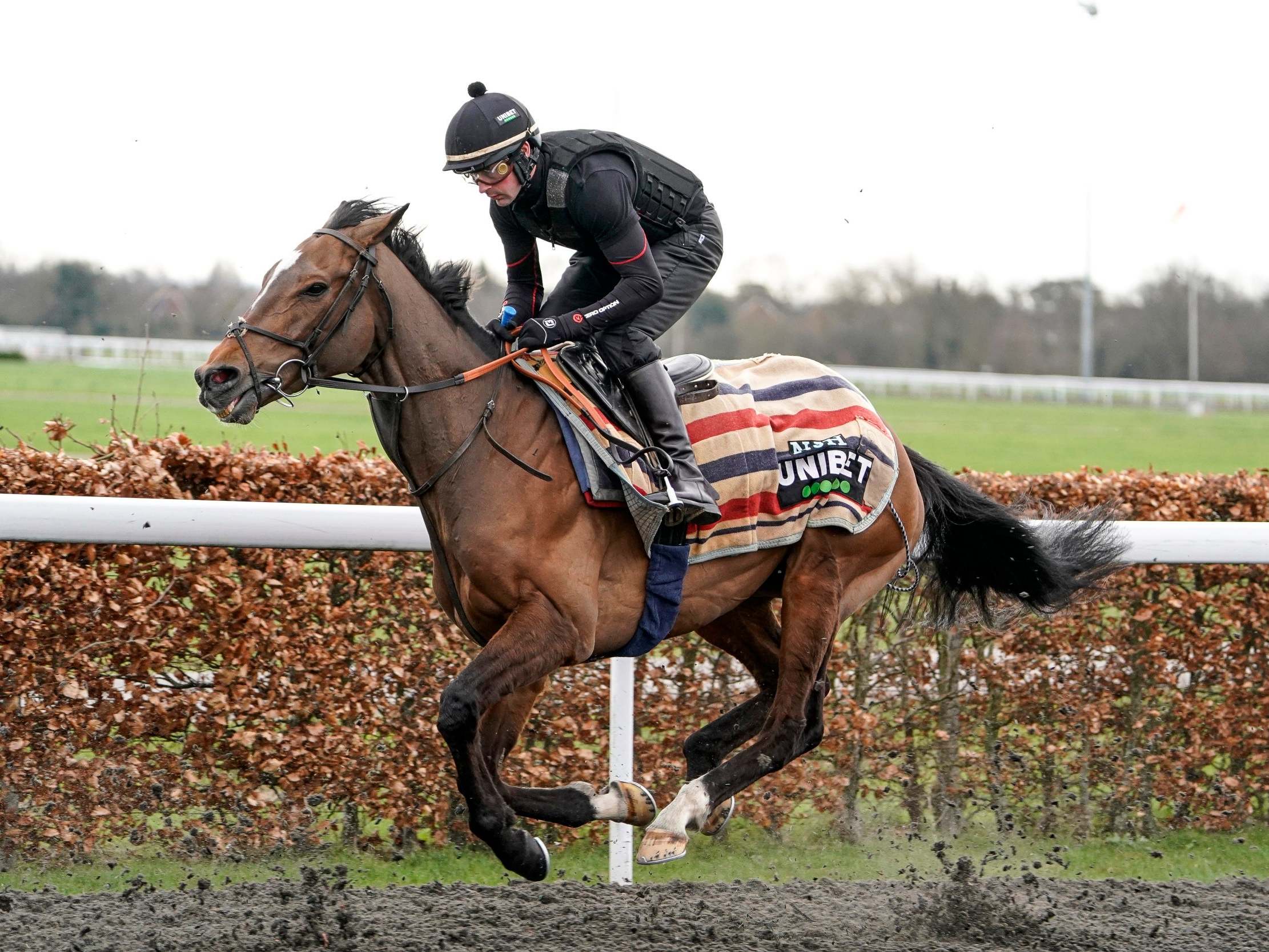 Cheltenham Festival tips: Day one odds as Pentland Hills goes for glory in the Champion Hurdle