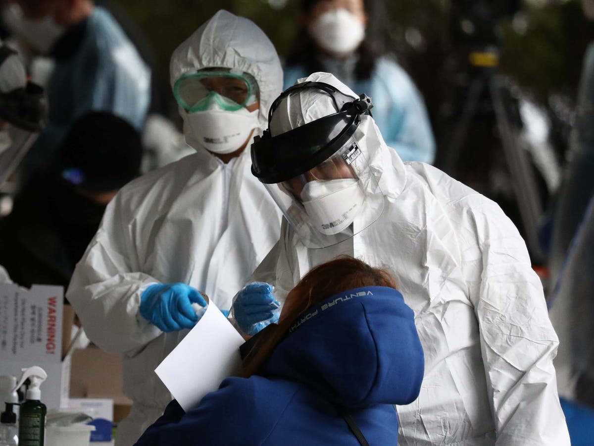 Coronavirus sparing children could help experts understand how it spreads The In