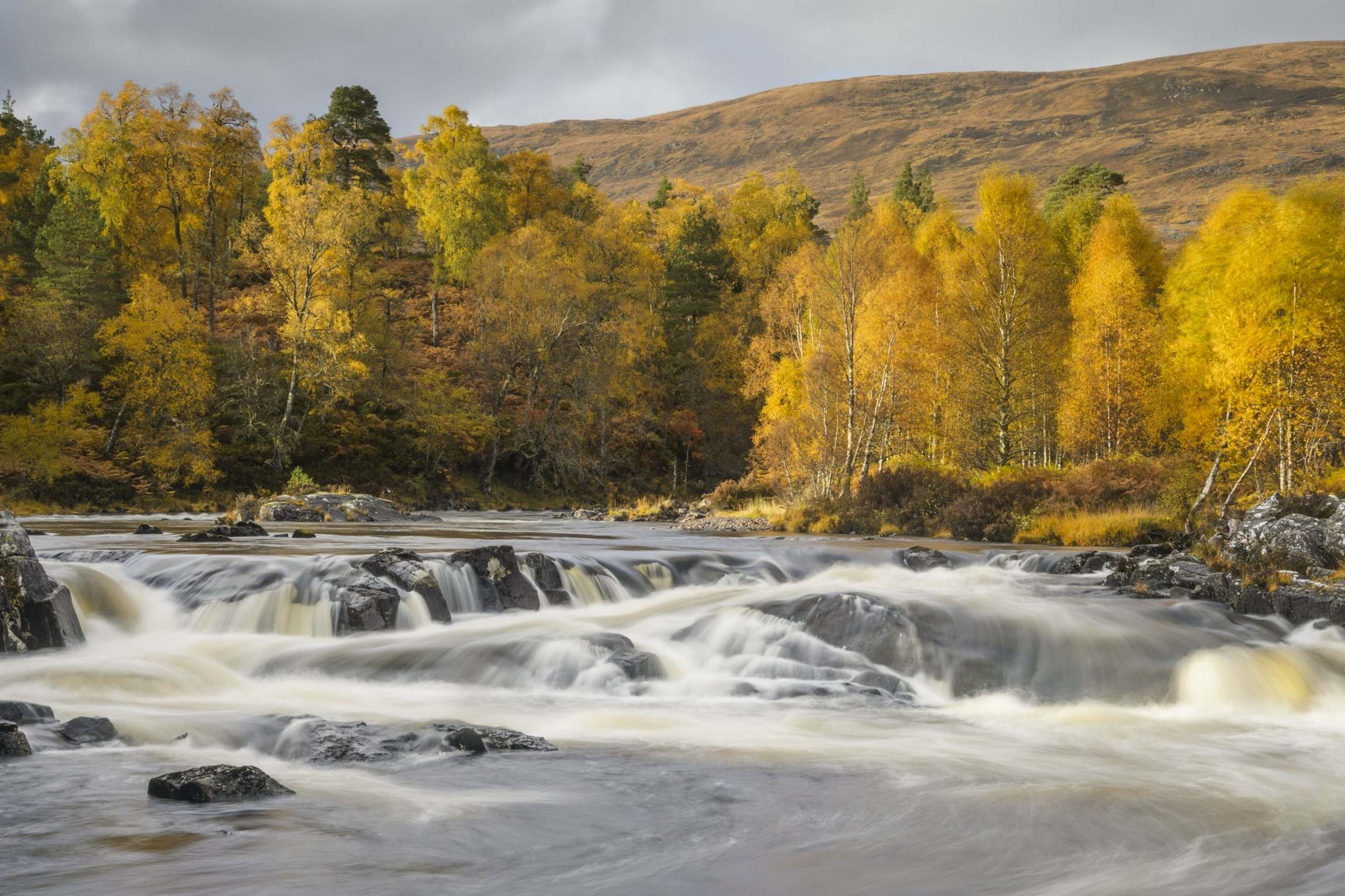 Rewilding Britain is hoping to rewild 5 per cent of Britain’s landmass by 2100, most of which is likely to take place in Scotland