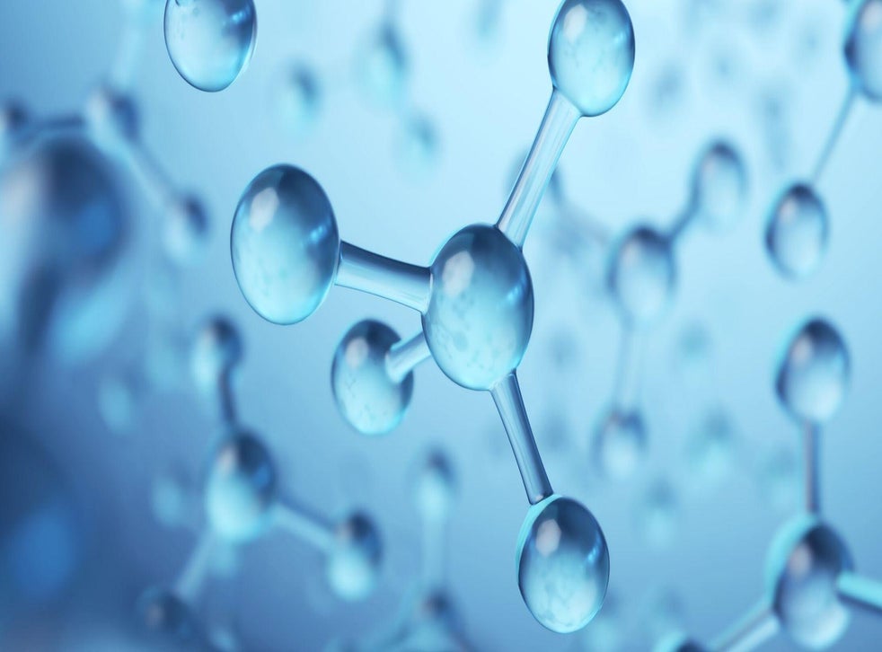 Scientists discover the first animal ever that doesn’t need oxygen to