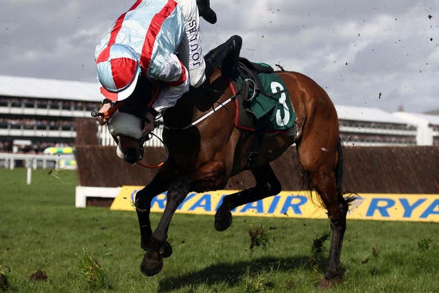 Gavin Sheehan is unseated by Itchy Feet in the Marshes Novices' Chase