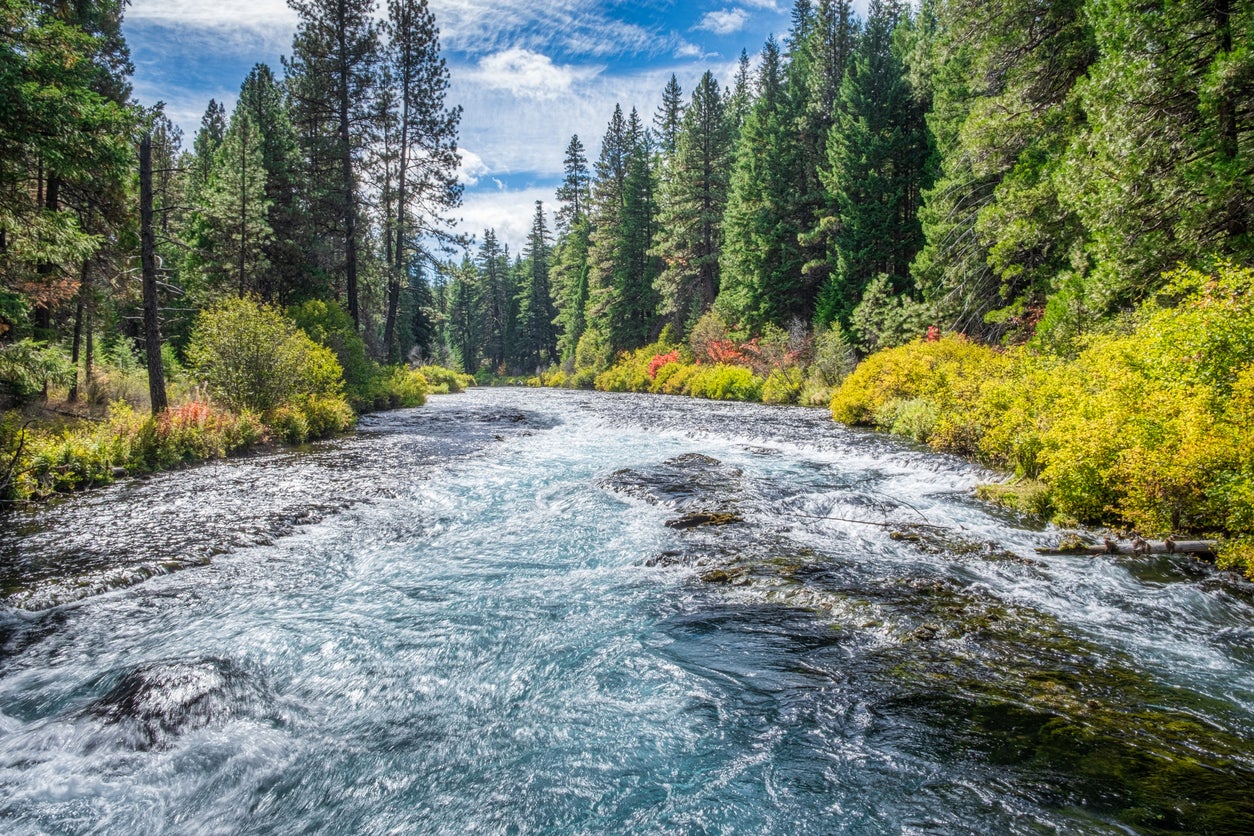 The Deschutes National Forest covers 1.6 million acres of the eastern Cascades