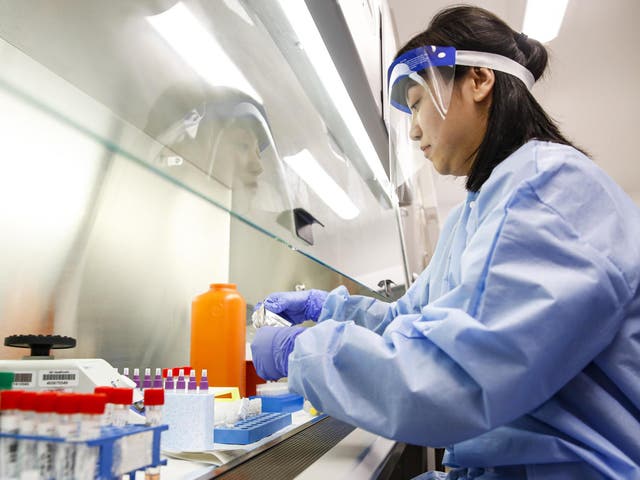 A laboratory technician prepares COVID-19 patient samples for semi-automatic testing at Northwell Health Labs, Wednesday, March 11, 2020, in Lake Success, N.Y.