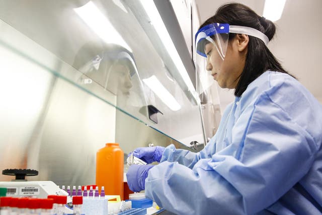 A laboratory technician prepares COVID-19 patient samples for semi-automatic testing at Northwell Health Labs, Wednesday, March 11, 2020, in Lake Success, N.Y.
