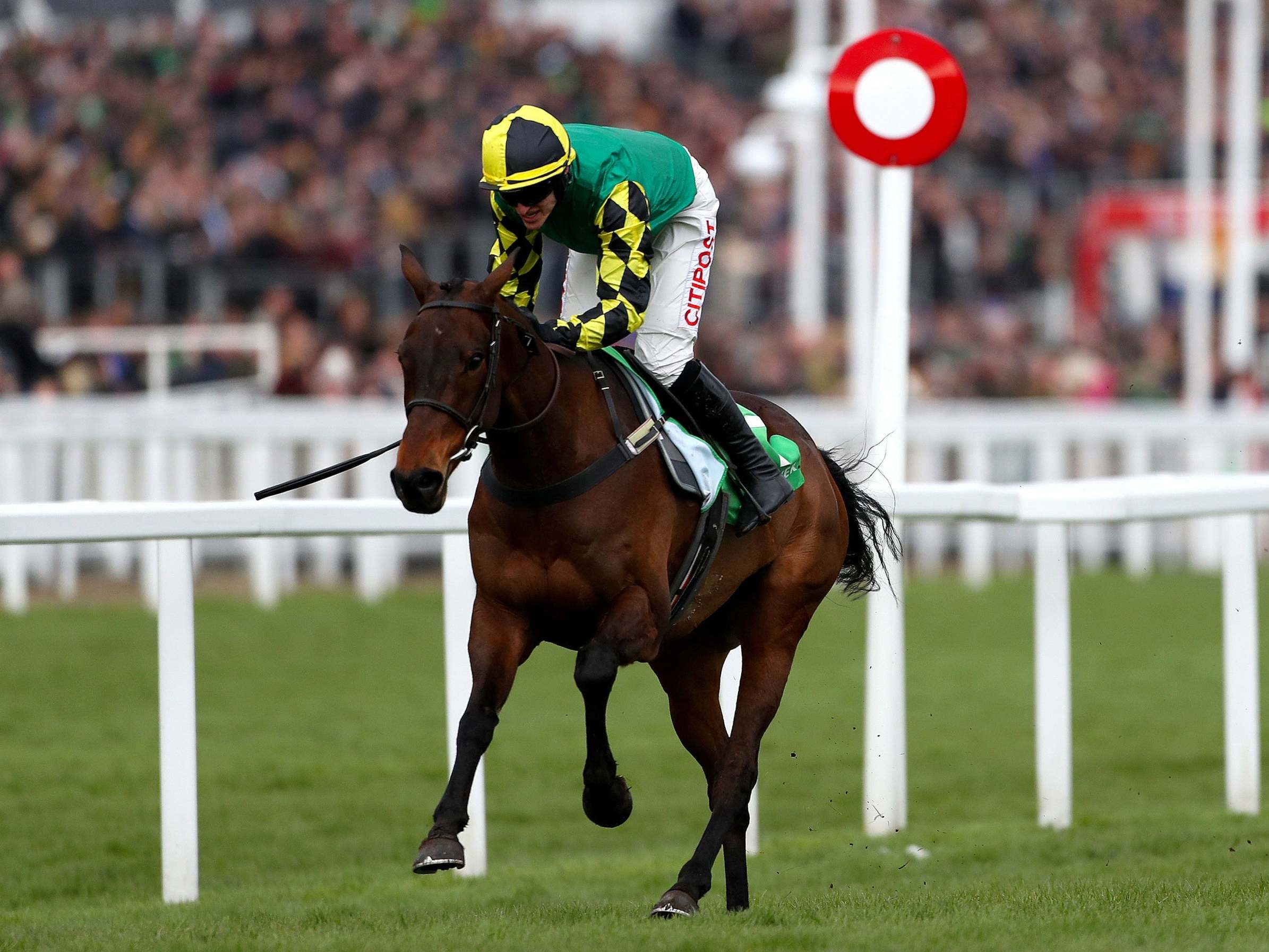 Cheltenham Festival results: Lisnagar Oscar pulls off major upset as Samcro seals photo-finish victory