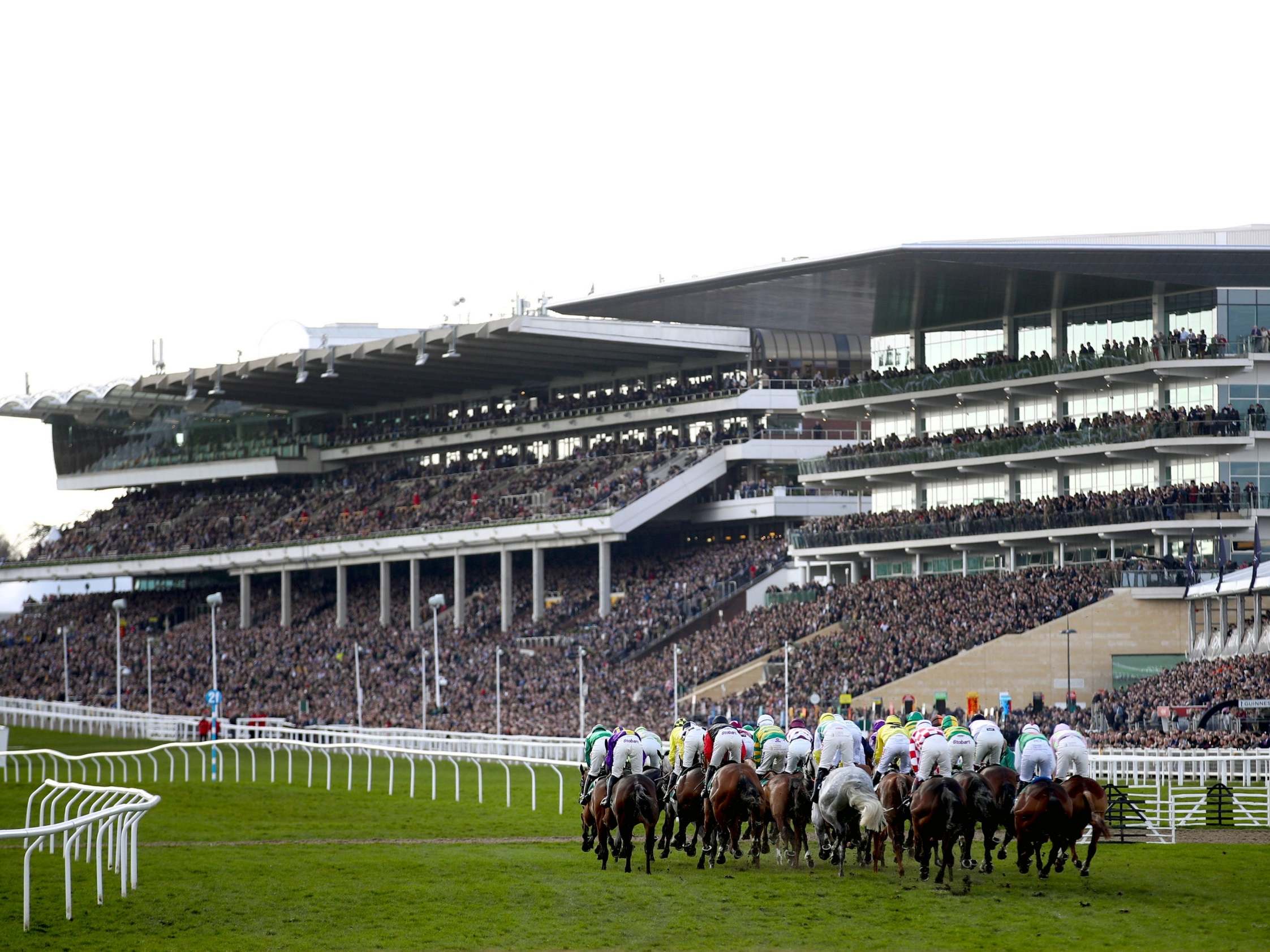 Thousands of spectators watch a race at the Cheltenham Festival in mid-March
