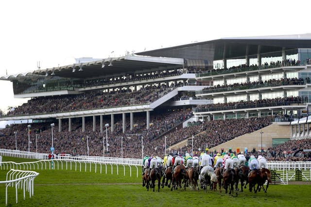 Thousands of spectators watch a race at the Cheltenham Festival in mid-March