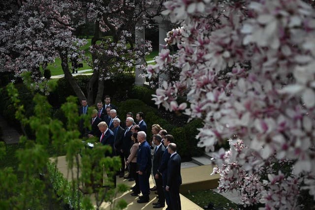 Surrounded by members of the White House Coronavirus Task Force, US President Donald Trump declares a national emergency response to COVID-19. in the Rose Garden at the White House in Washington DC on 13 March 2020