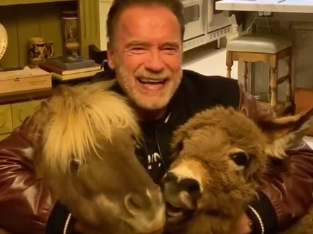 Coronavirus: Arnold Schwarzenegger urges fans to self-isolate while feeding carrots to his ponies