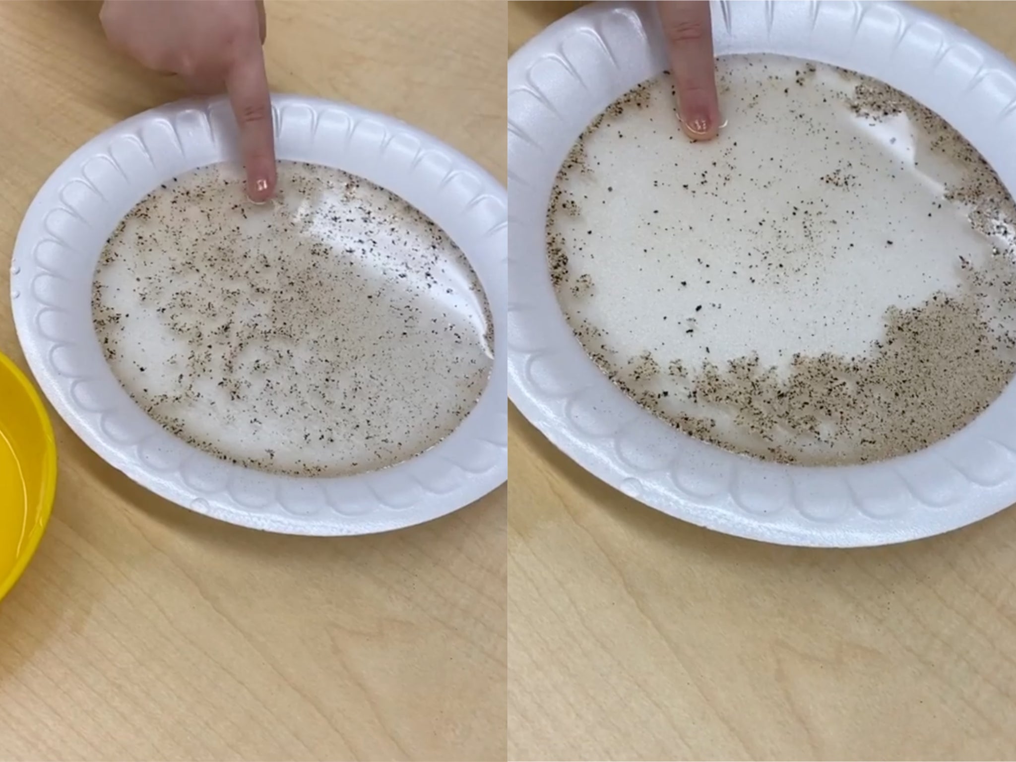 Coronavirus: Viral video of pepper and soap trick demonstrates importance of washing hands
