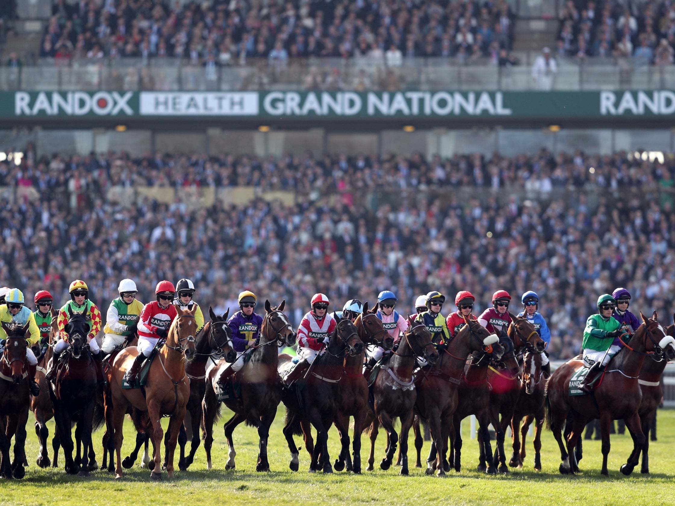 Grand National cancellation to cost bookmakers more than £100m following coronavirus crisis
