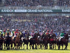 Grand National cancellation to cost bookmakers more than £100m