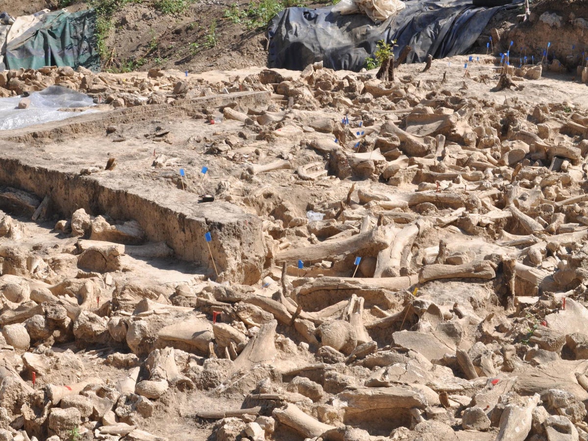 Mysterious mammoth bone circle discovered in Russia could help explain how humans survived last Ice Age | The Independent | The Independent