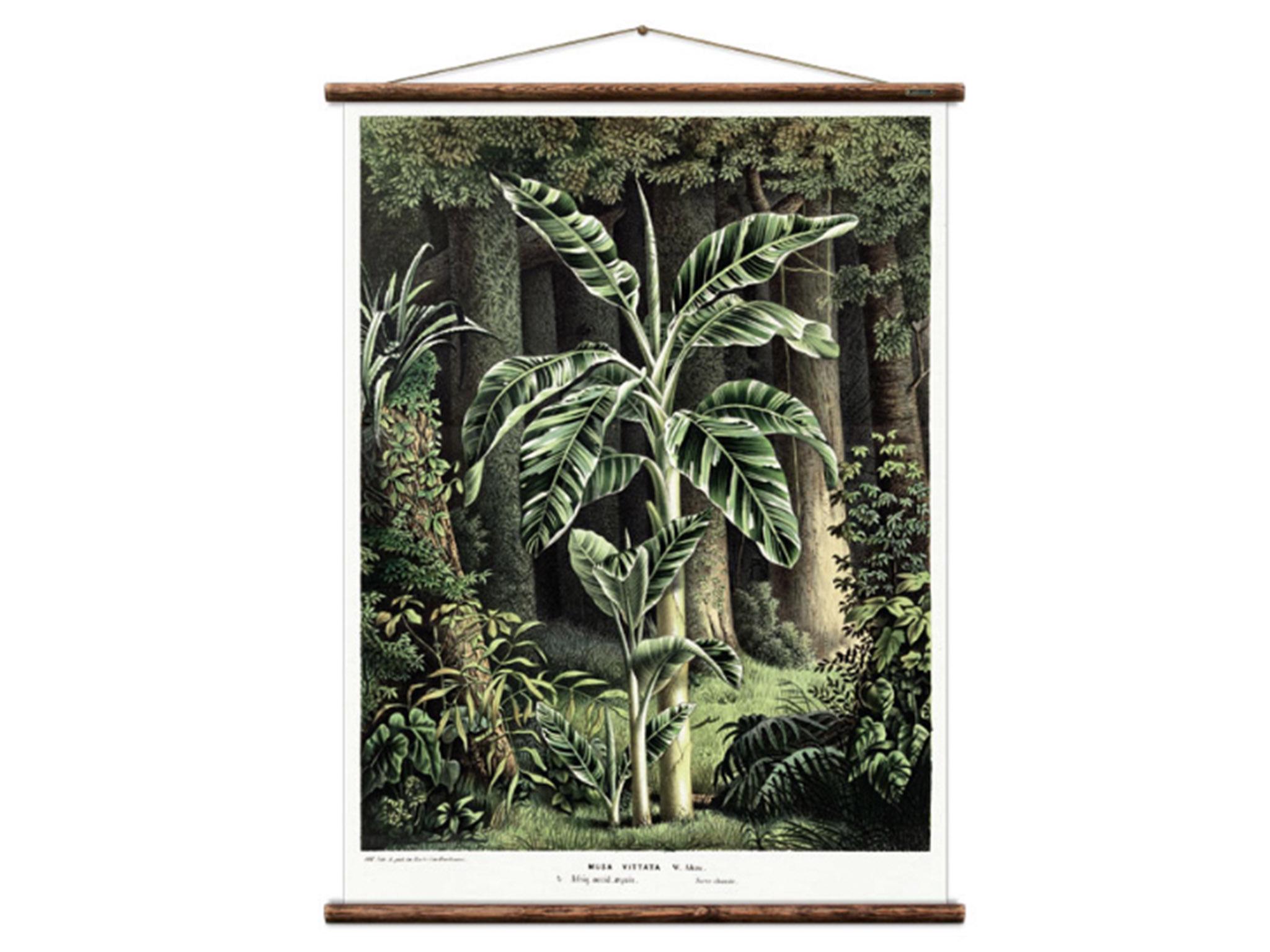 Erstwhile Green Botanical Musa Vitatta Print Airtex Canvas Wall Hanging, £230, Trouva