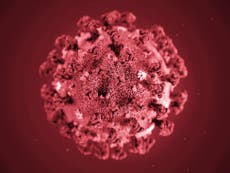 CDC quietly changes advice on Trump’s coronavirus ‘game changer’