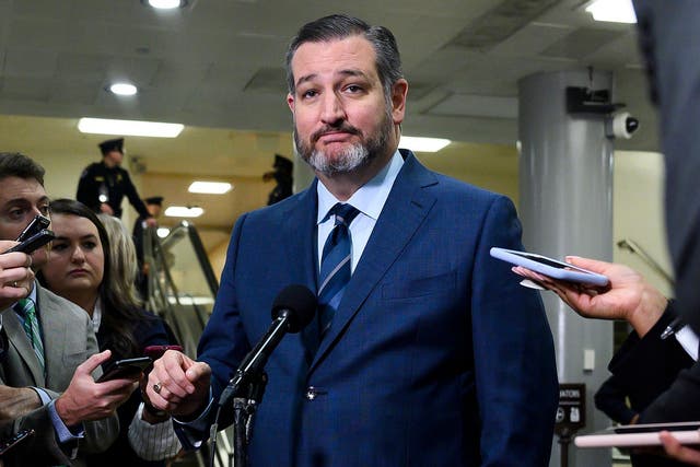 Senator Ted Cruz, R-Texas, is positioning himself to be a leader in Republicans' opposition to a hypothetical President Joe Biden. (Photo via Andrew Canellero-Reynolds AFP)