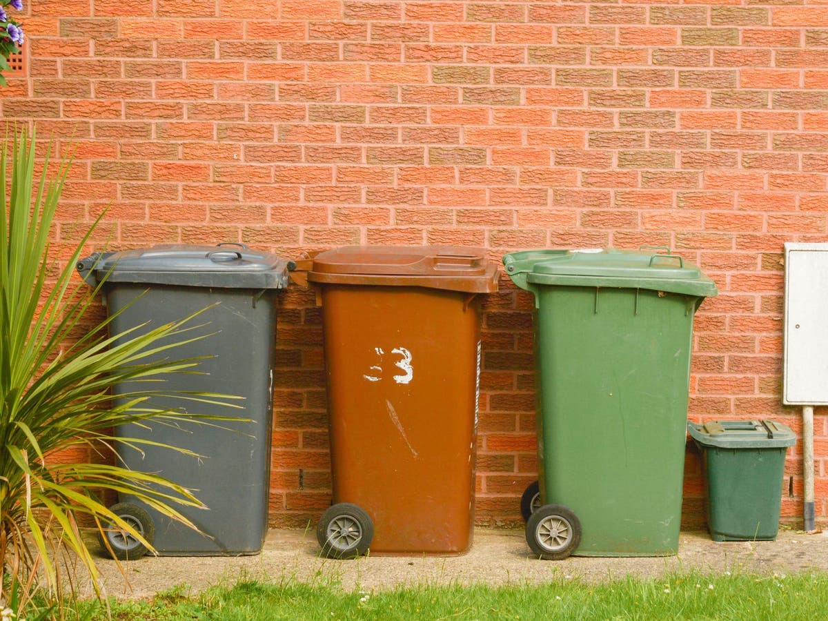 T me more bins франция. Wheelie bin. Wheelie bin перевод. Rubbish Tip перевод.