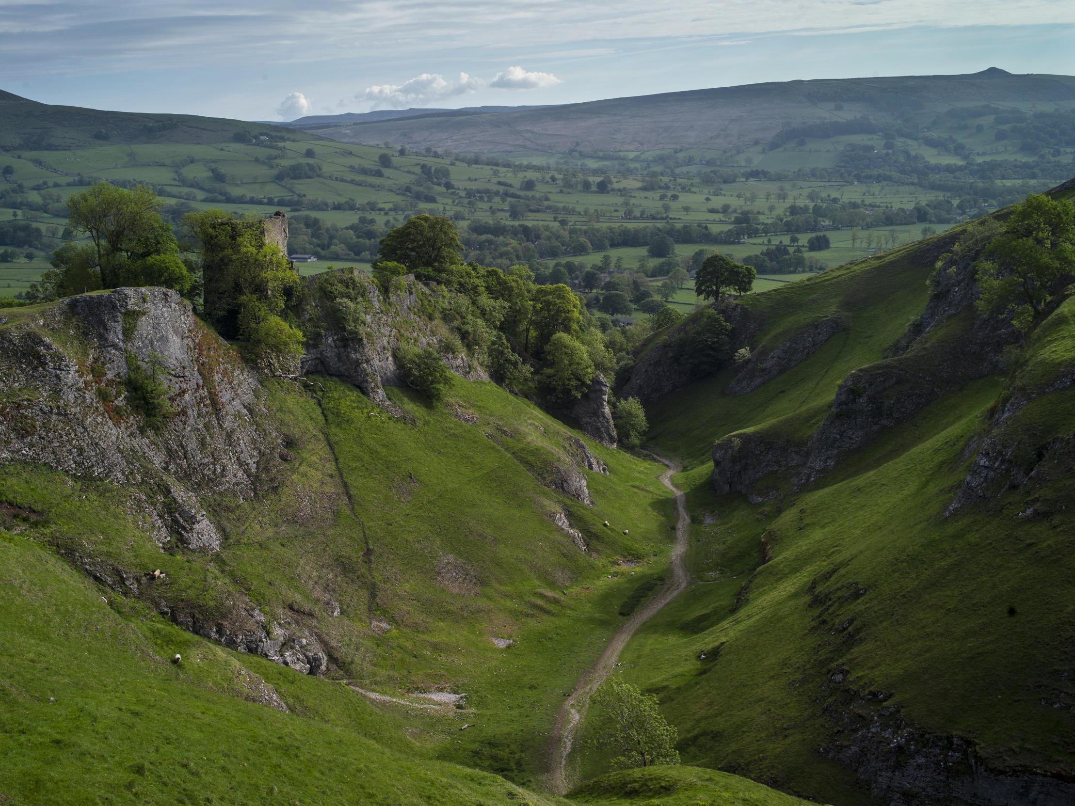 Related video: Prof Neil Ferguson of Imperial College predicts peak of coronavirus in 2-3 weeks' time