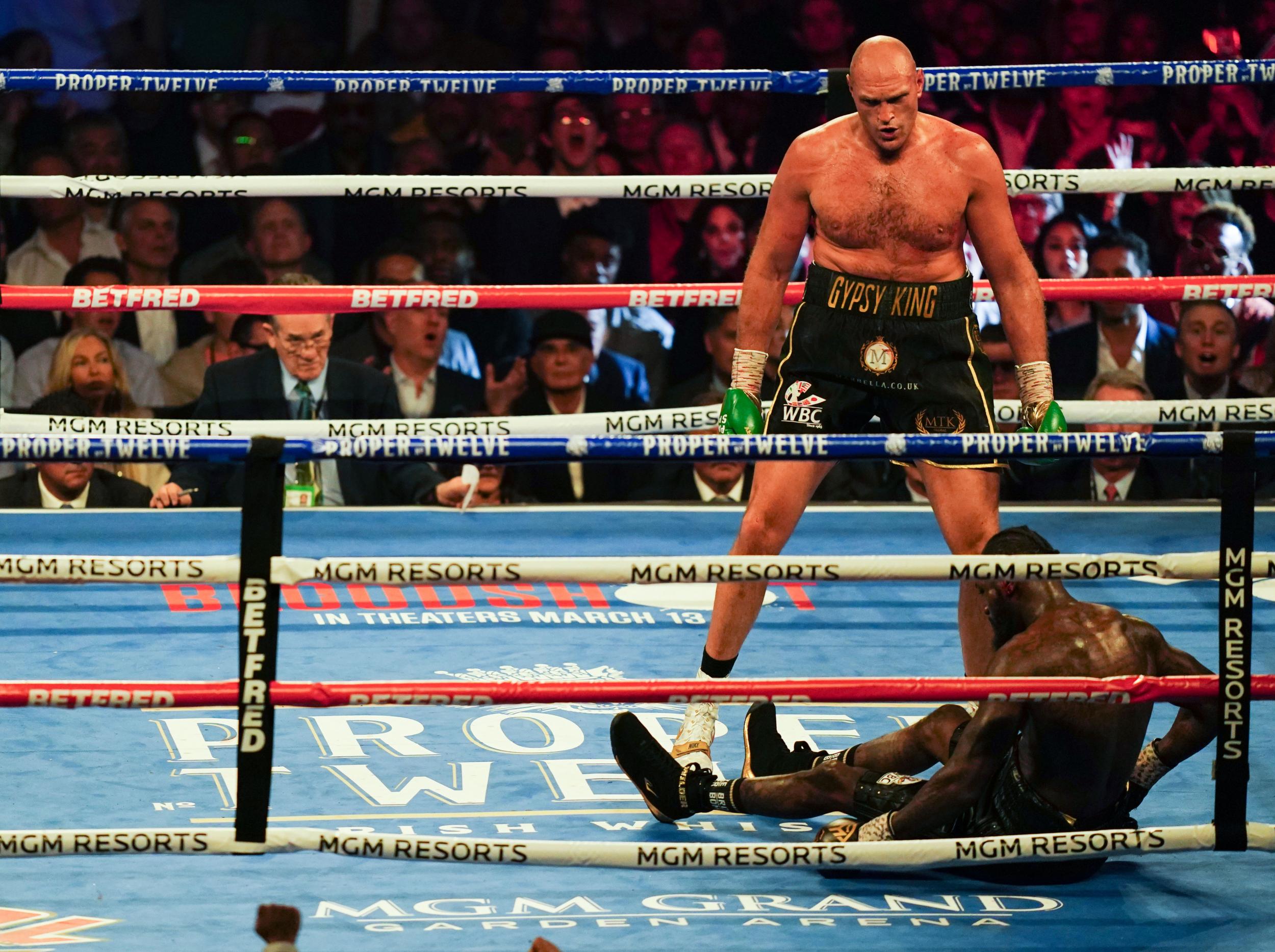 Tyson Fury stopped Deontay Wilder in February