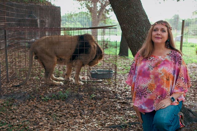 Carole Baskin appears in Netflix's true crime docuseries Tiger King