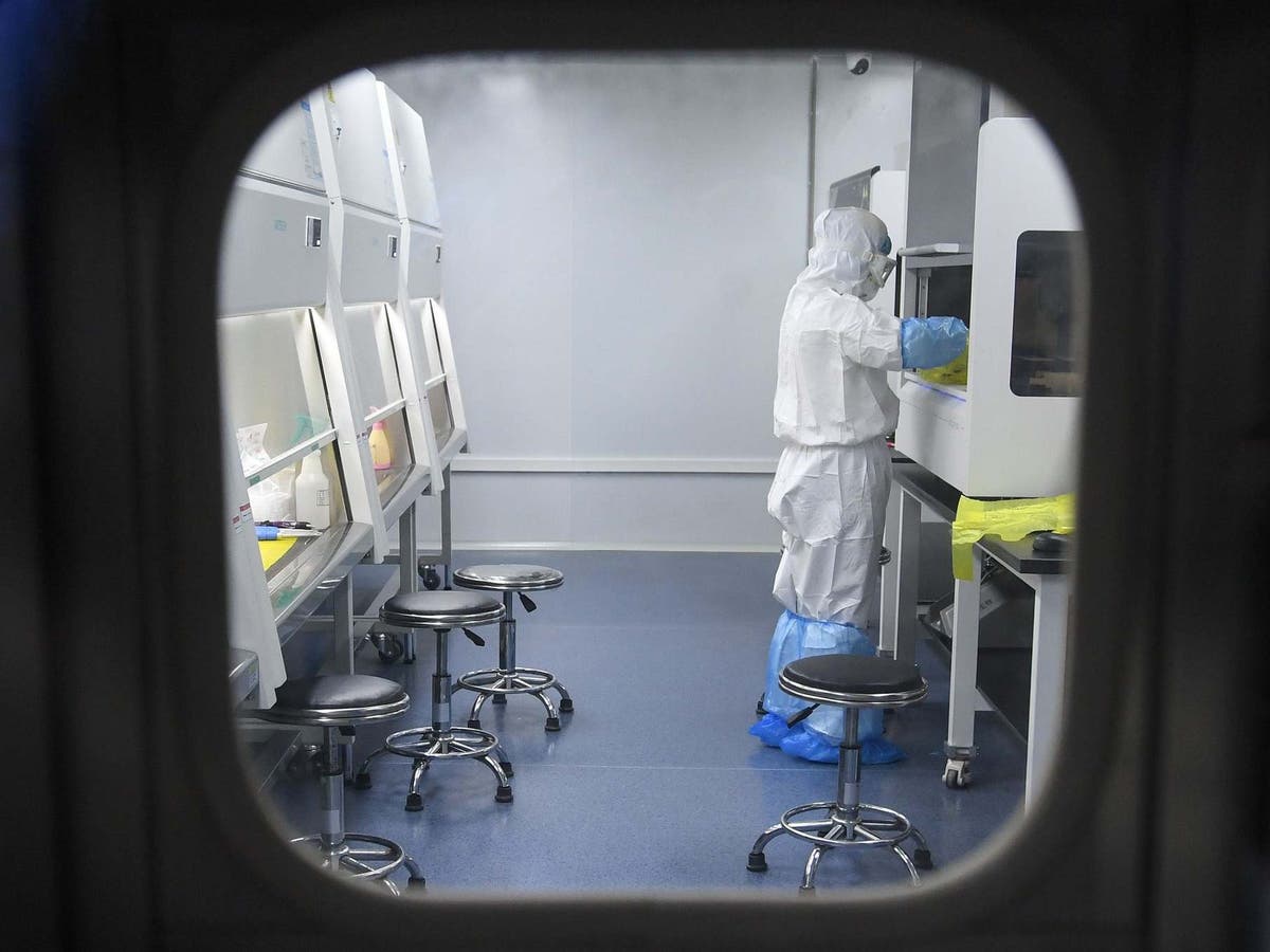 Coronavirus conspiracy theories: From a Chinese lab to eating garlic ...