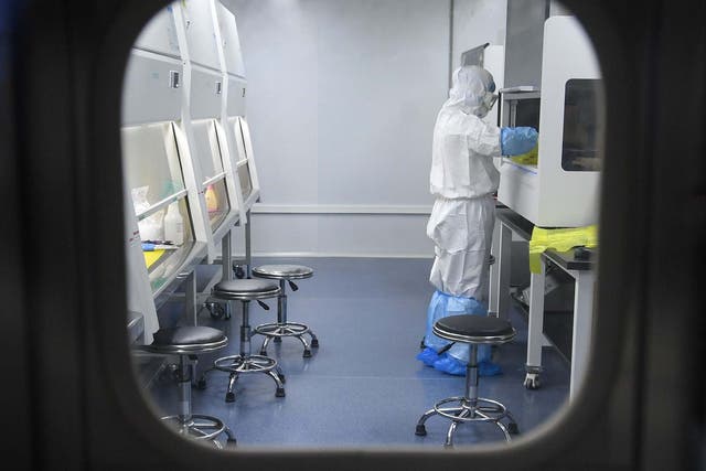 A scientist works on test samples at the 'Fire Eye' laboratory in the Chinese city of Wuhan.