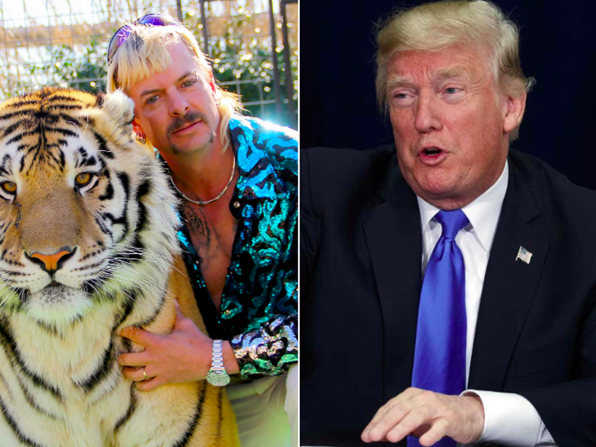 Tiger King’s Joe Exotic believes Trump will pardon his murder-for-hire conviction, prepares limo in celebration