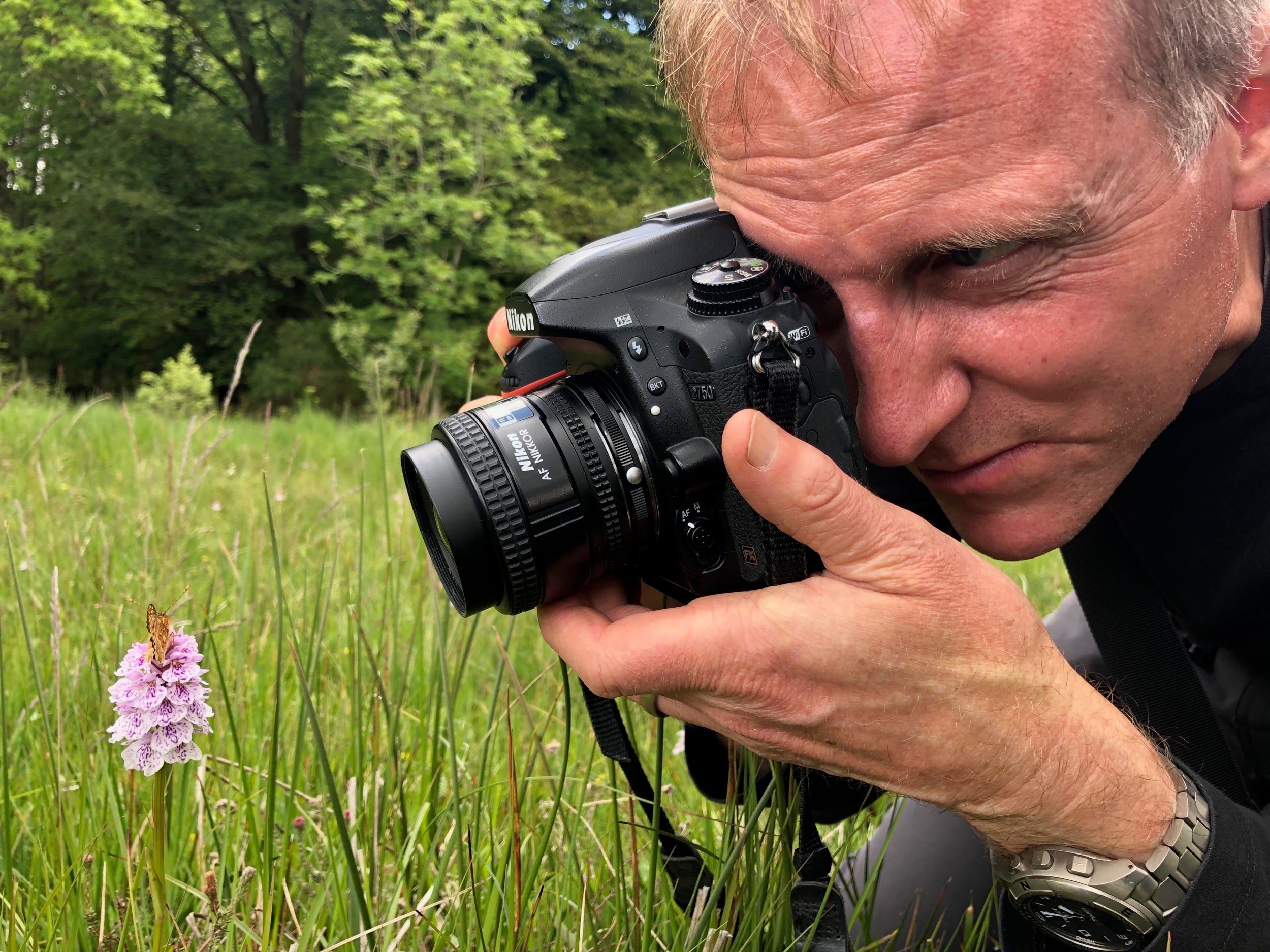 Martin photographs a marsh fritillary