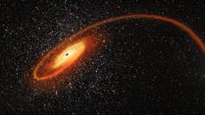 Nasa and ESA find 'cosmic killer' black hole that could solve mystery