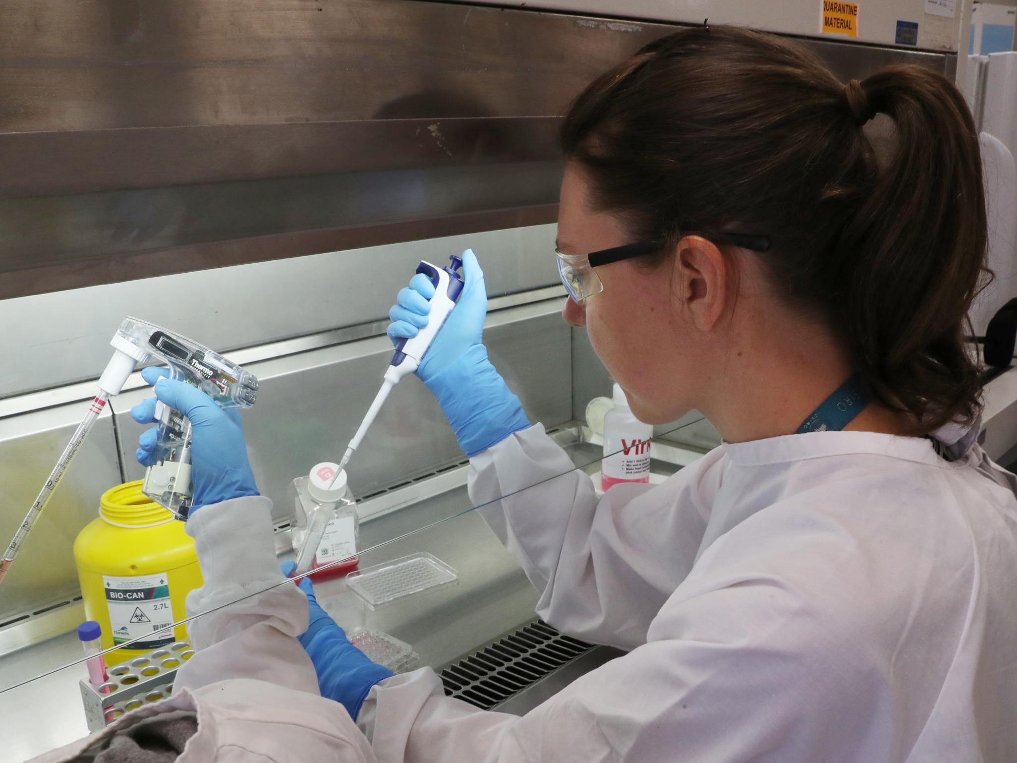 Coronavirus: Oxford University to begin human trials of Covid-19 vaccine next week