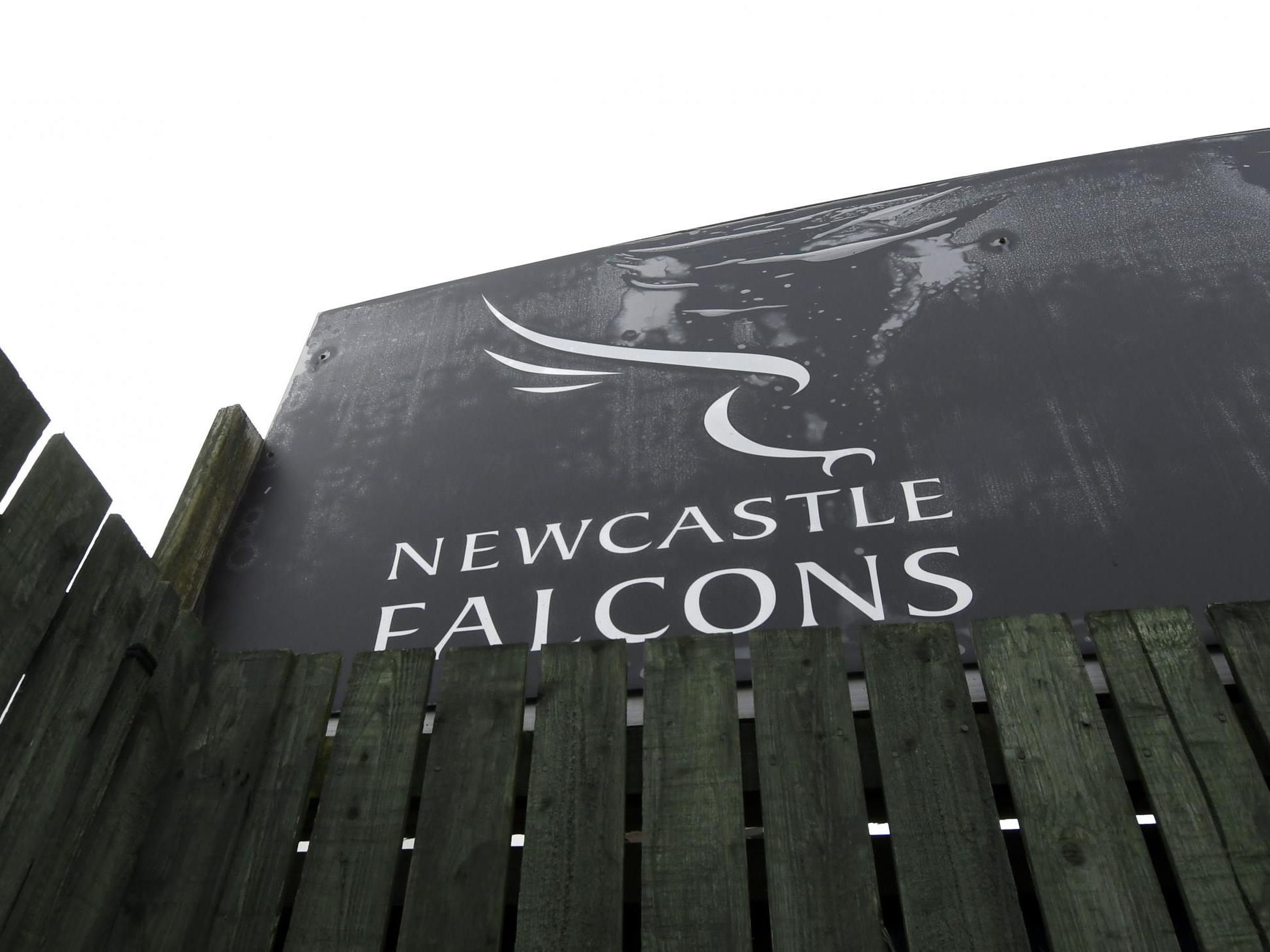 Coronavirus: Newcastle Falcons set for promotion after Championship season called off