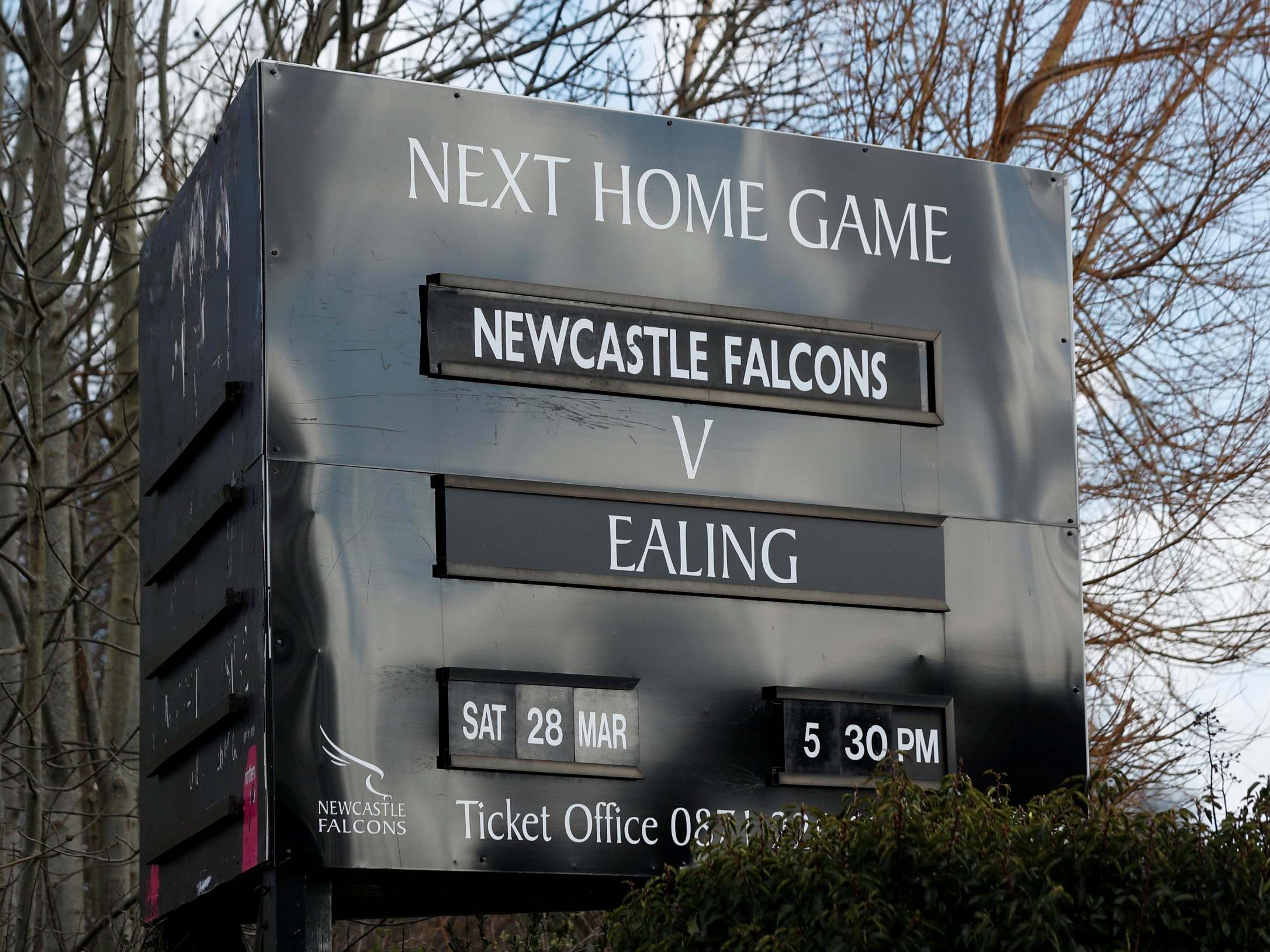 Newcastle Falcons will be promoted to the Premiership after the Championship was abandoned