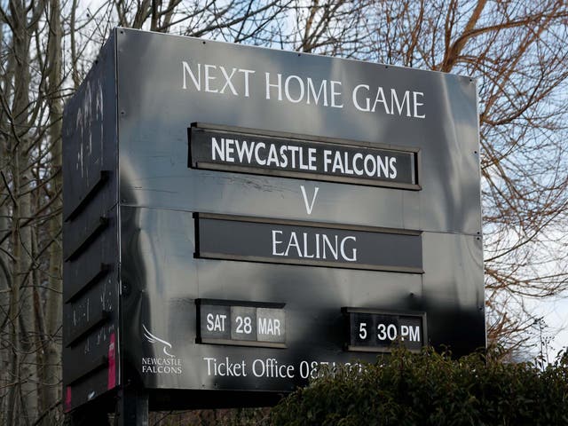 Newcastle Falcons will be promoted to the Premiership after the Championship was abandoned