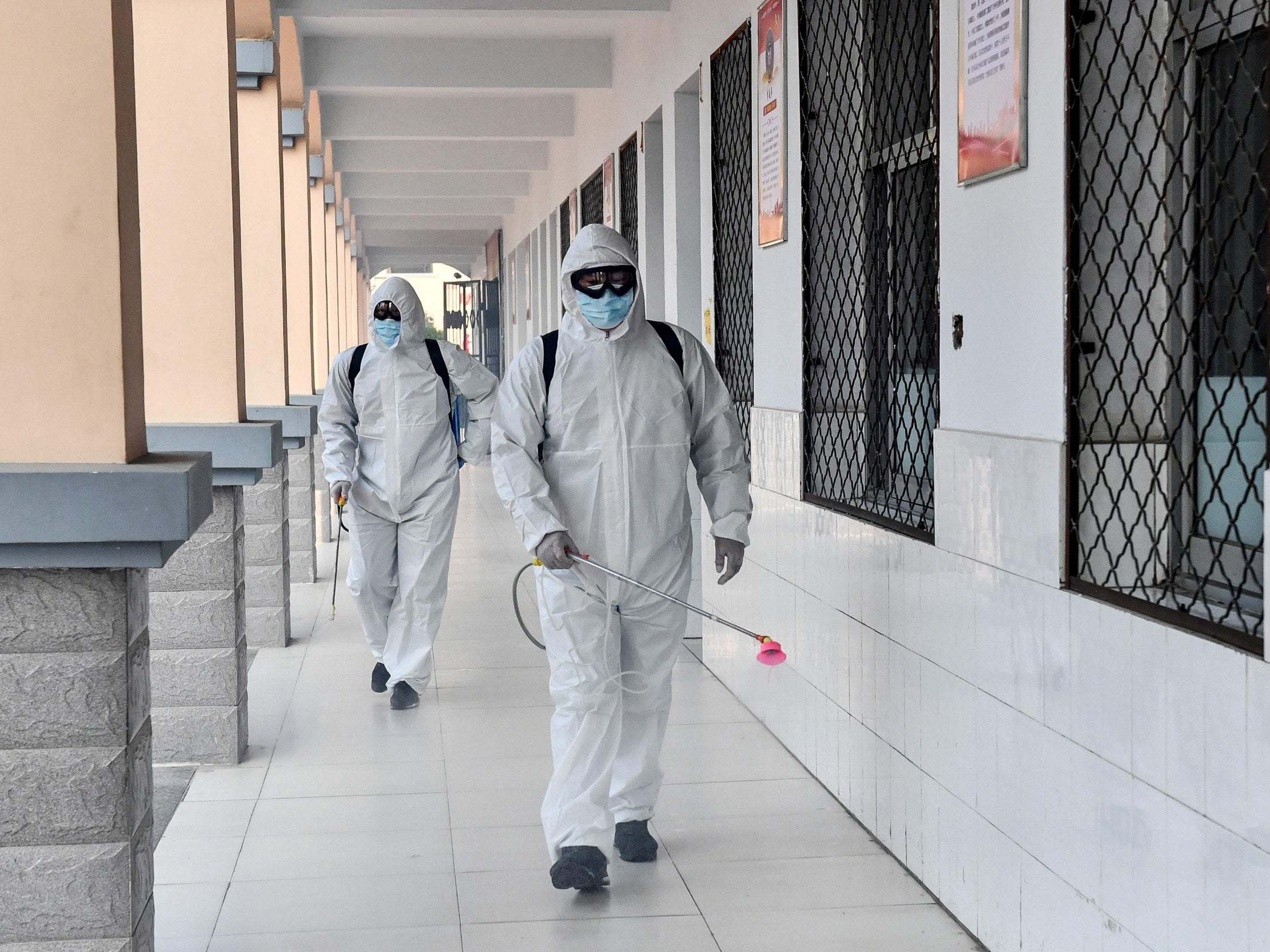 Coronavirus news you might have missed overnight: Recovered patients to be given 'immunity certificates', as UK cases could 'hit plateau within two weeks'