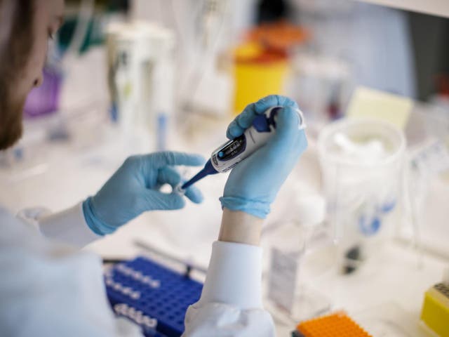 A researcher works on a vaccine against Covid-19 at Copenhagen's University research lab