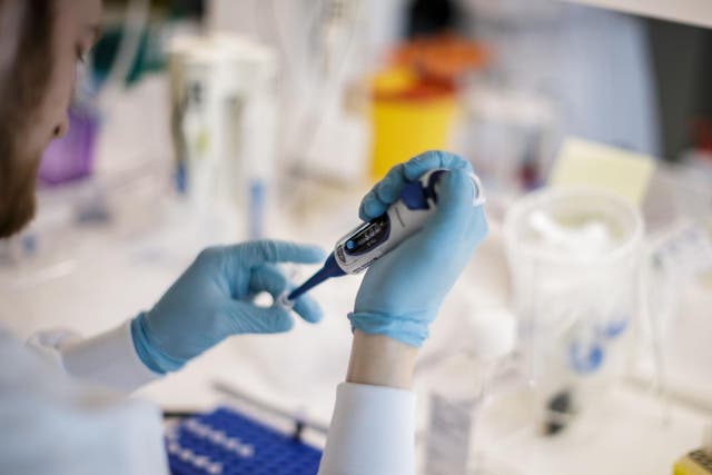 A researcher works on a vaccine against Covid-19 at Copenhagen's University research lab
