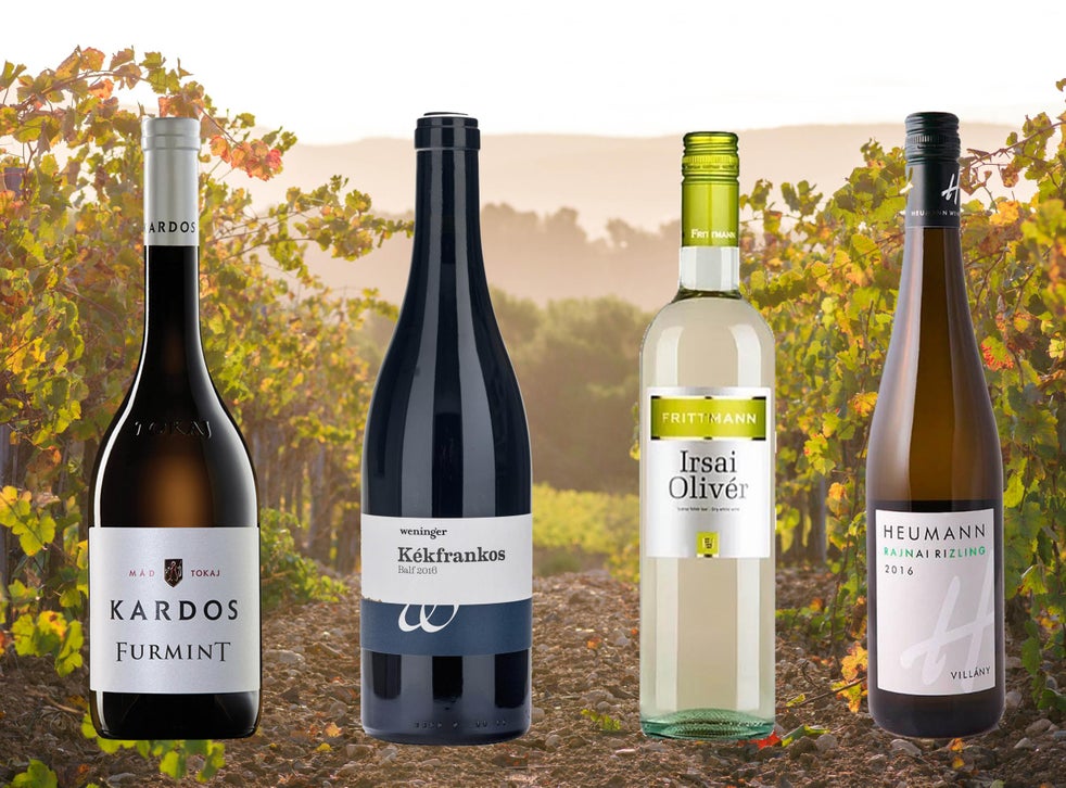 Best Hungarian wines that should be on every oenophile's radar The