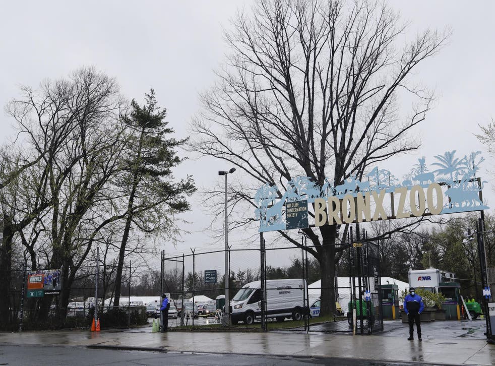 Bronx Zoo and four other zoos in New York closed in March following the coronavirus outbreak.