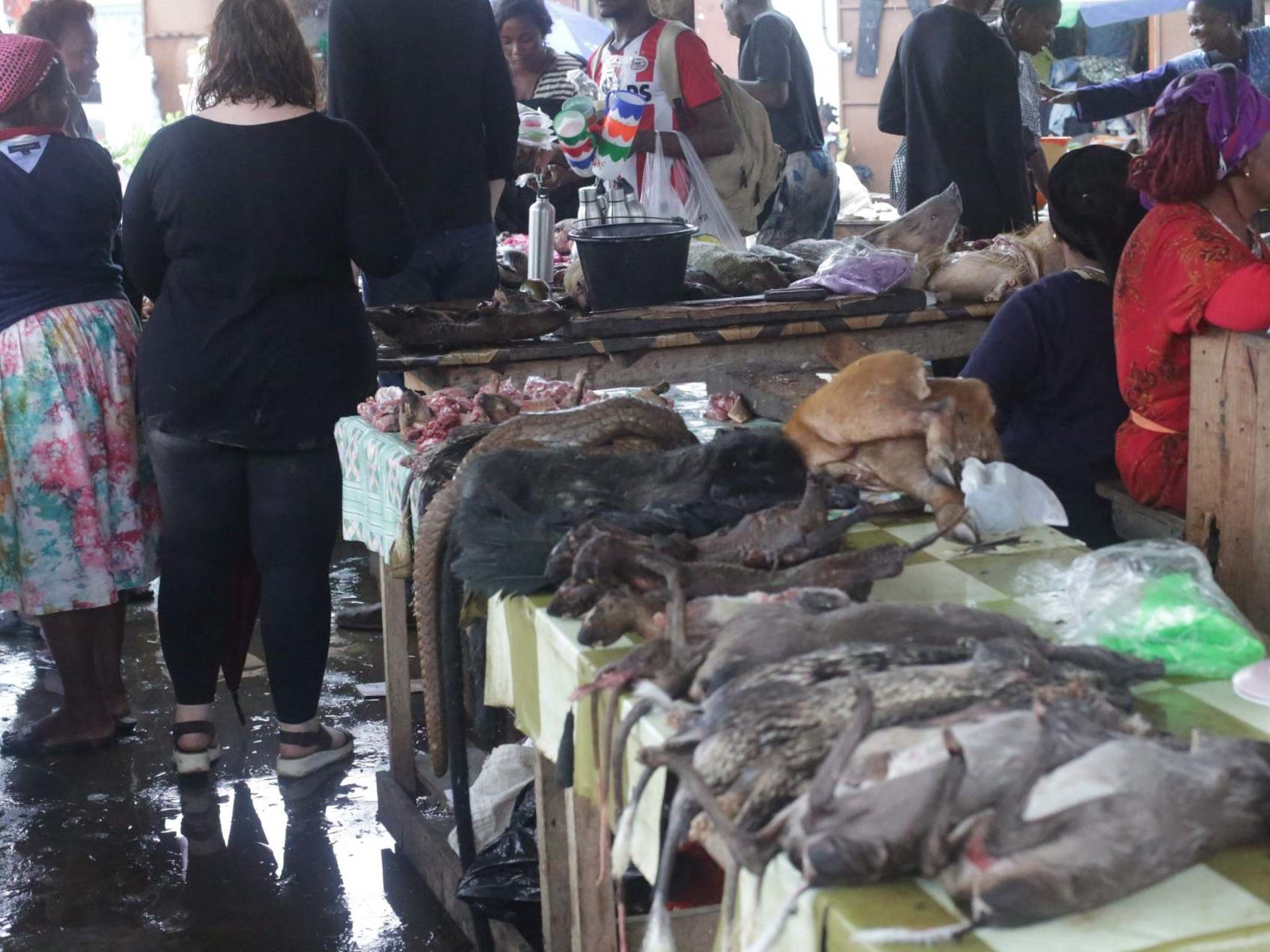 A general view of a market where pangolin and other bushmeat are sold in Libreville