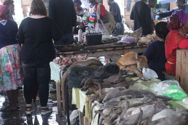 A general view of a market where pangolin and other bushmeat are sold in Libreville