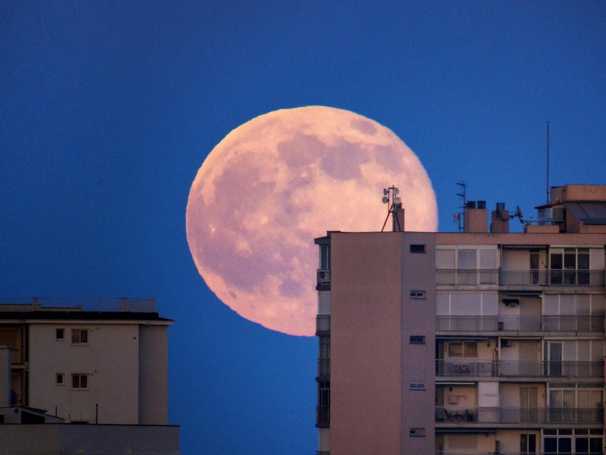 Pink supermoon: How to watch the biggest and brightest ...