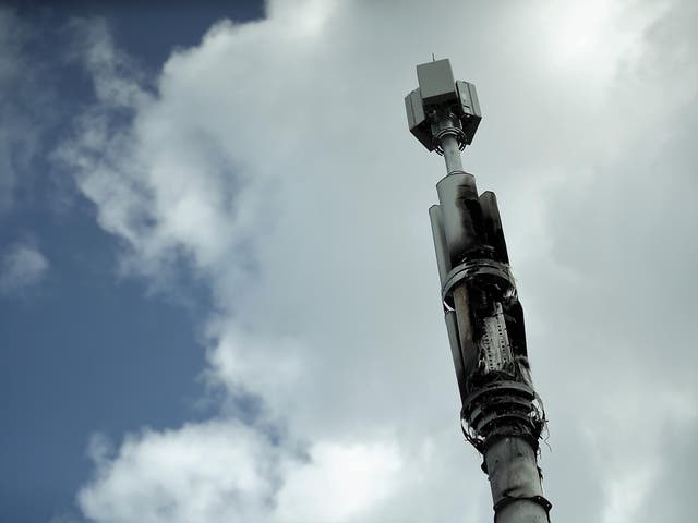 <p>Christine Grayson discussed “getting rid” of the mobile phone masts (stock image) </p>