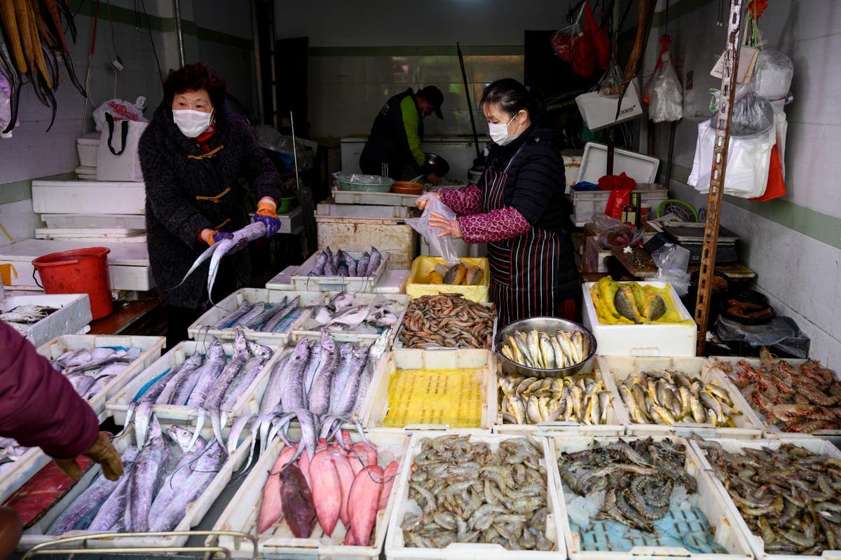 ‘Life will always find a way’: China tries to shut down wildlife trade but markets remain open