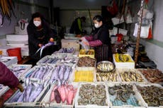‘Life will always find a way’: China tries to shut down wildlife trade but markets remain open
