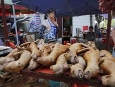 Experts pressure WHO over live animal trade to prevent more pandemics