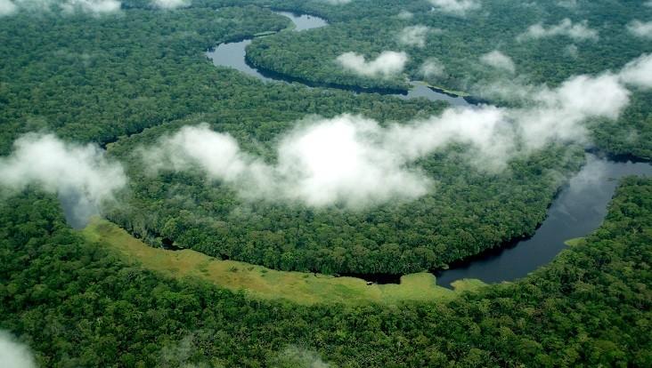 Salonga National Park is Africa’s largest tropical rainforest reserve