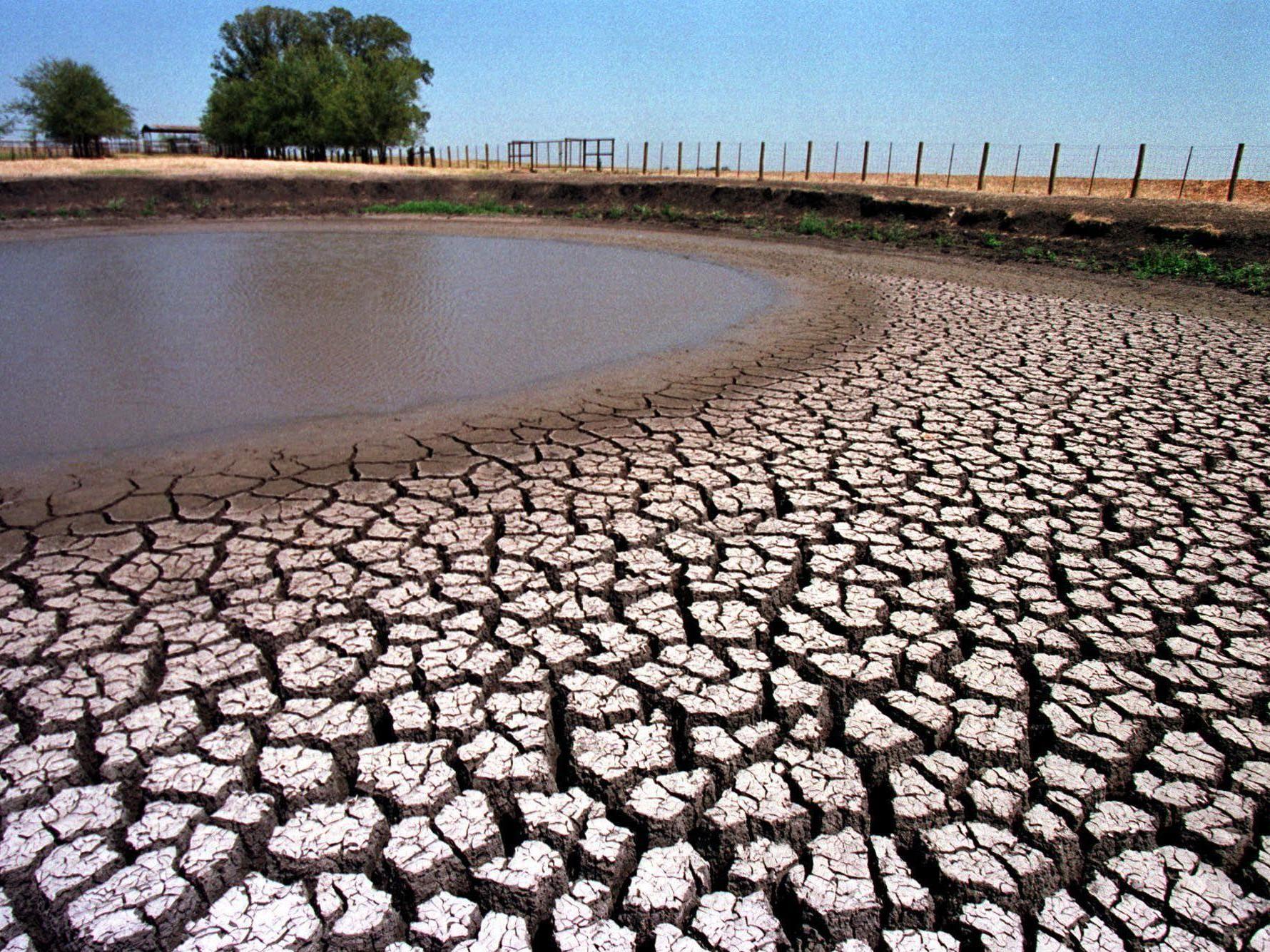 Google wants 1.46 billion gallons of water a year from Red Oak, Texas (AFP/Getty)