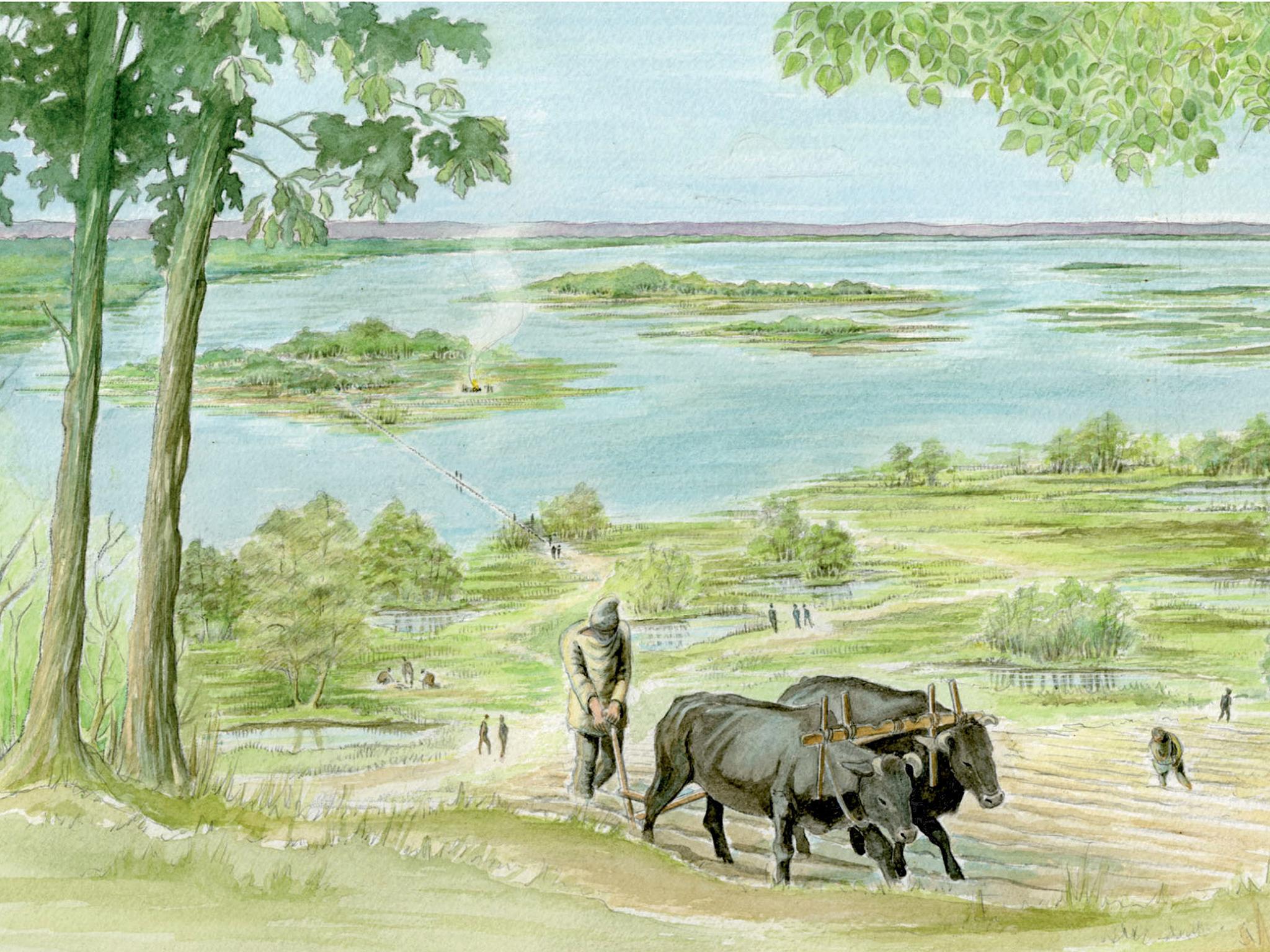 Most Neolithic and Bronze Age people in the London area would have been farmers. This artist’s impression shows what some prehistoric farming was like