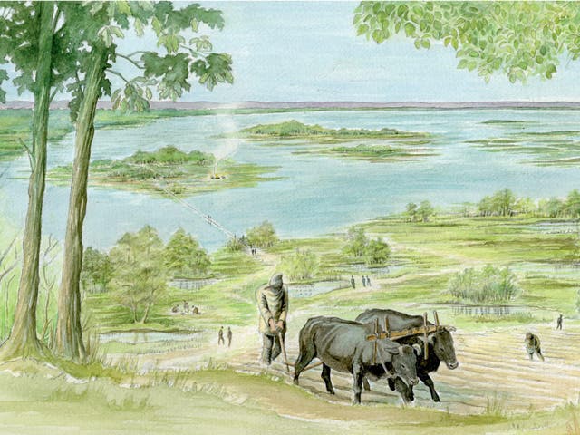 Most Neolithic and Bronze Age people in the London area would have been farmers. This artist’s impression shows what some prehistoric farming was like