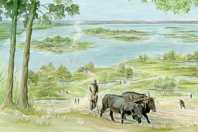 Most Neolithic and Bronze Age people in the London area would have been farmers. This artist’s impression shows what some prehistoric farming was like